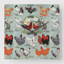 Recherche de poulettes horloges Rustique