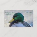 Recherche de bleu canard cartes visite Faune