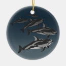 Zoek naar dolfijn ornamenten Wild