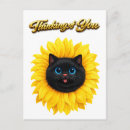 Recherche de visage de chats cartes postales Chat noir