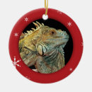 Recherche de iguane ornements Vacances