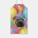 Recherche de shar pei chinois Anniversaire heureux