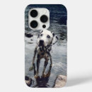 Recherche de chien dalmatien iphone coques Animal de compagnie
