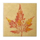 Zoek naar esdoorn tegels Geel