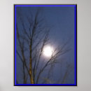 Recherche de clair de lune posters Arbre