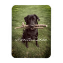 Recherche de bâton magnets Chien