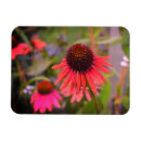 Recherche de fleur rouge magnets Jardin