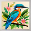 Zoek naar ijsvogels posters Natuur