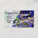 Recherche de poissons colorés cartes visite Aquarium
