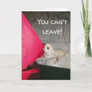 Recherche de chihuahuas vœux cartes Salutation