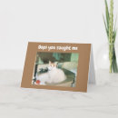 Zoek naar turkse kaarten Fotografie