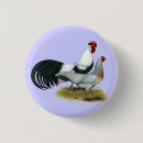 Recherche de caniche badges Animal