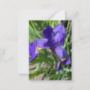 Recherche de pourpre de fleur correspondances cartes Iris