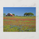 Recherche de parterre posters Jour