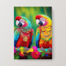 Recherche de macaw badges Coloré