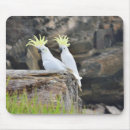 Recherche de soufre tapis souris Oiseau