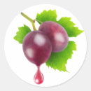 Recherche de goûteur de vin Vigne
