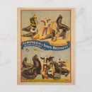 Zoek naar zegels briefkaarten Antiek