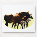 Recherche de image cheval tapis souris Chevaux