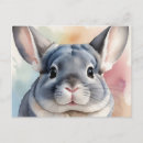 Recherche de chinchilla cartes postales Animal