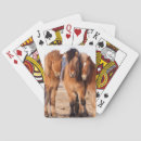 Recherche de islandais jeux de cartes Animal