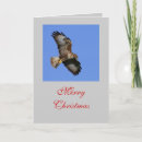 Zoek naar buizerd posters Prooi