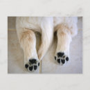 Recherche de marionnette cartes postales Chiot