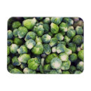 Recherche de de bruxelles magnets Nourriture