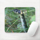Recherche de toxique tapis souris Faune