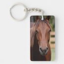 Recherche de chevaux photographie Anniversaire