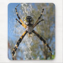 Recherche de araignée tapis souris Jaune