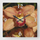 Recherche de goutte de pluie horloges Nature