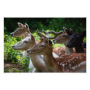 Recherche de grenier photographie Pour tous