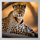 Recherche de taches de léopard posters Safari