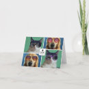 Recherche de collage de chat vœux cartes Dog
