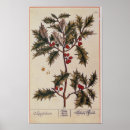 Recherche de salutation de noël posters Salutations