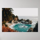 Recherche de paume photographie Océan