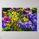 Recherche de violon art Floral