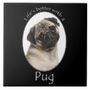 Recherche de carlin carreaux Animal