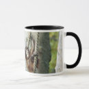Recherche de orangs outans tasses Primat