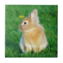 Recherche de lapin carreaux Pâques