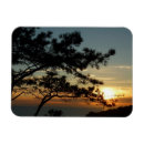 Recherche de california magnets Paysage