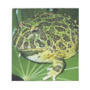 Recherche de grenouille blocsnotes Animal