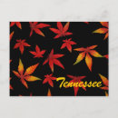 Recherche de tennessee cartes postales Couleur