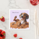 Recherche de dachshund serviettes Chien