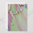 Recherche de arbutus cartes postales Gros plan