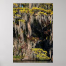 Recherche de inondation posters Paysage