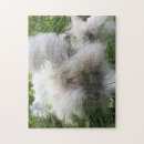 Zoek naar angora konijn Schattig