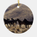 Recherche de mustang sauvage ornements Désert
