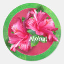 Recherche de fleurs de ketmie autocollants Rose